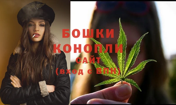 ECSTASY Липки